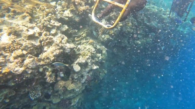 Египет 🇪🇬 аэропорт, заселение, территория. Отель DREAMS VACATION RESORT SHARM EL SHEIKH 4* Часть 1 смотреть онлайн