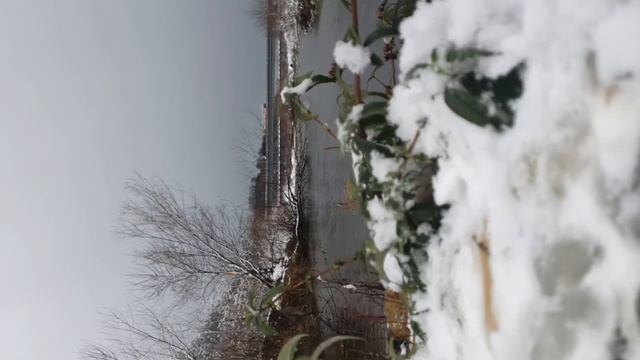 холодная вода читска тела, закалка духа, взращиваем силу волки💪 смотреть онлайн