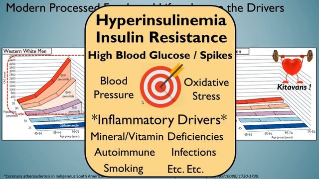 Ivor Cummins - from Soil Health to Nutrient Dense Diets to Healthy Hearts! смотреть онлайн