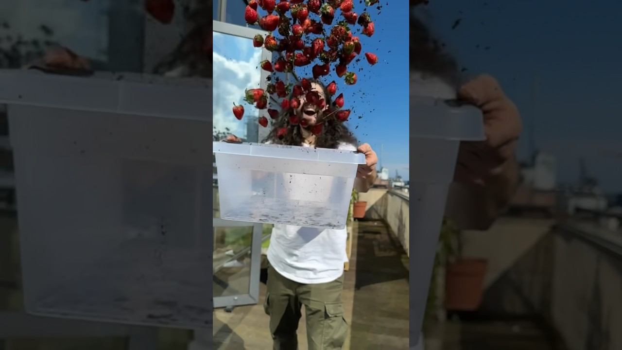 How to Grow Strawberries | creative explained смотреть онлайн