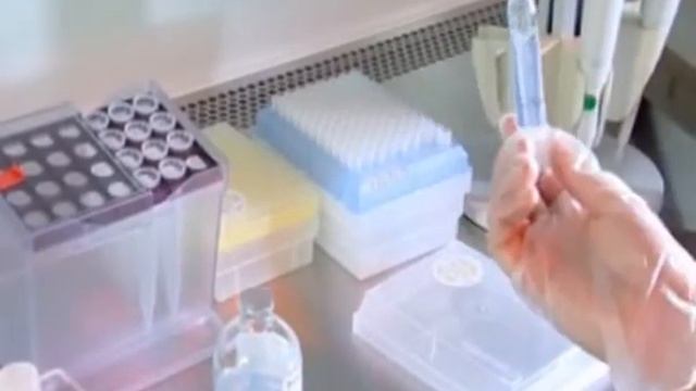 Исследования оплодотворения Часть 1.vob смотреть онлайн