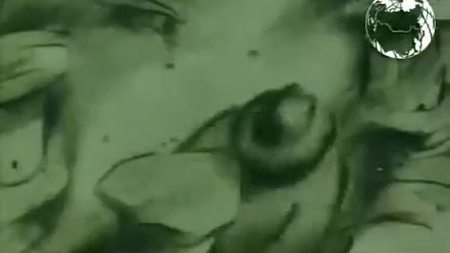 Человек, который сажал деревья смотреть онлайн