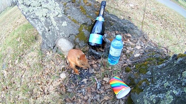 Воды хотя бы налейте. смотреть онлайн