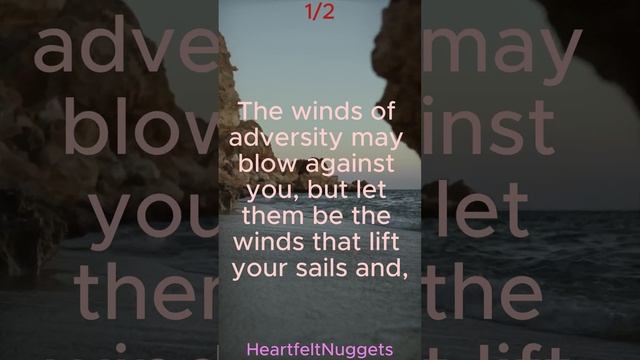 Navigating Dreams Amidst Adversity's Winds смотреть онлайн