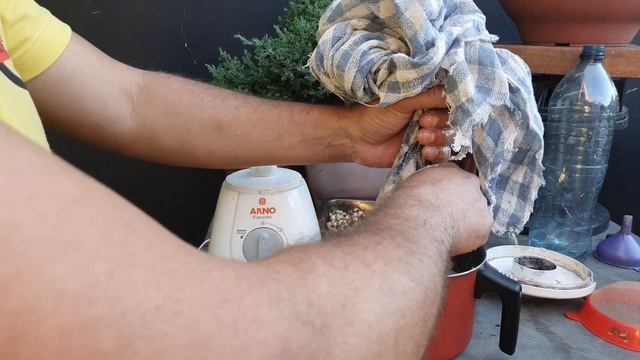 Hormônio enraizador feito com feijão смотреть онлайн