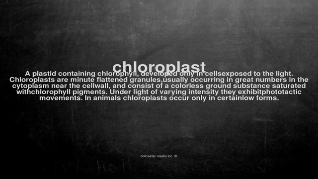 What does chloroplast mean смотреть онлайн