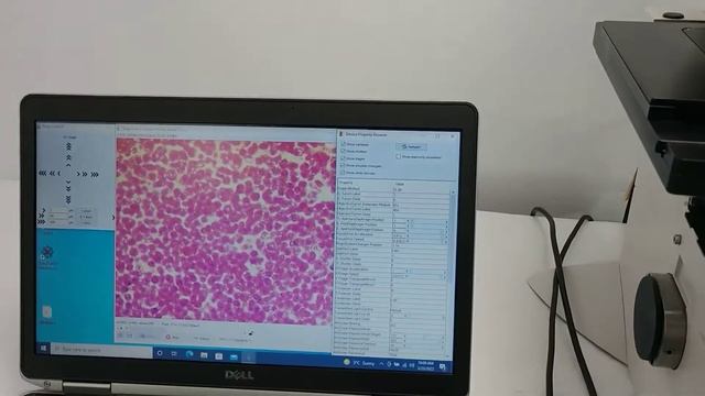 Leica DMi8 Inverted LED Fluorescence Motorized Microscope [BOSTONIND] - 28339 смотреть онлайн