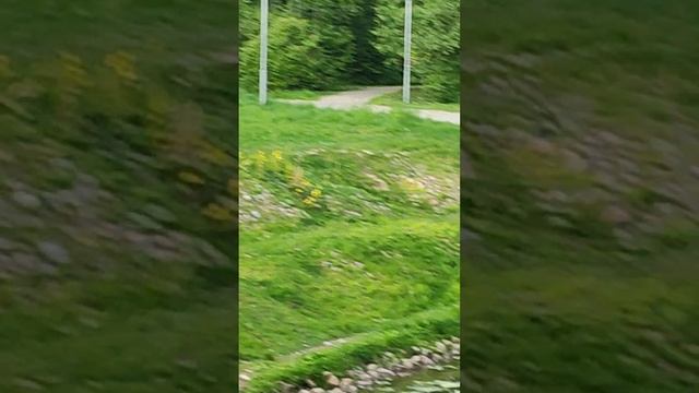 Репинский парк, фонтан и памятник влюблённых. смотреть онлайн