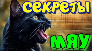 Мяуканье кошки. Что говорит кошка?
