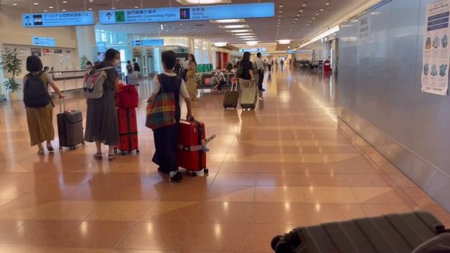 【一時帰国】3年ぶりに日本へ смотреть онлайн