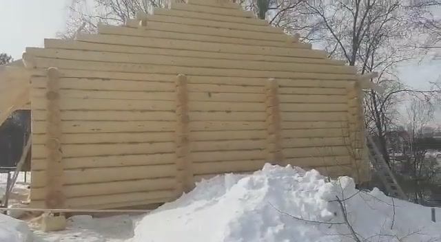 Апрель 2021. Сруб бани 8х5 в чашу с террасой 1,5х2 м с двумя перегородками в Сергиев Посаде, часть 1 смотреть онлайн
