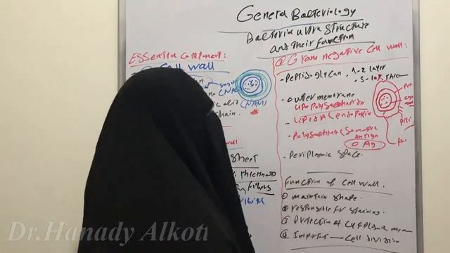 💪💪💪Cell Wall of Bacteria 🧫👊 смотреть онлайн