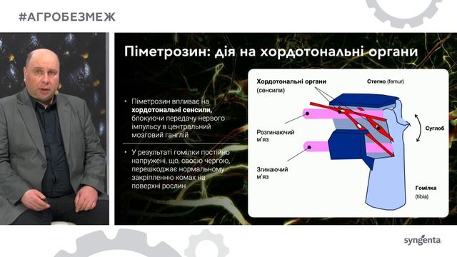 Інсектициди для ріпаку. Технічно про технічні⭐ смотреть онлайн