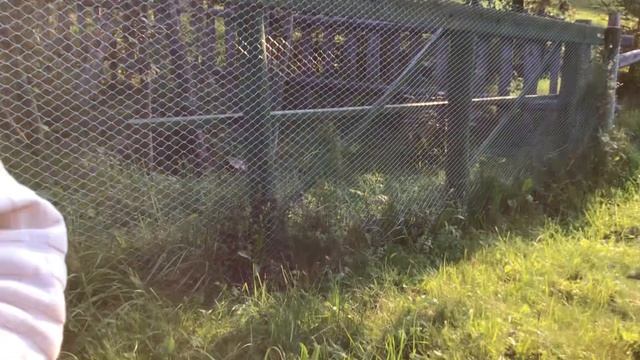 Живая вода родового поместья Смольниковых (2) 25.08.2023. смотреть онлайн