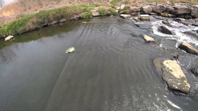 SLINGSHOT FISHING008