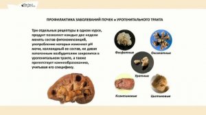 Жизнь без камней. Урологический сбор № 1,2,3 от Perfect Organics. Академик РАМТН Д.Дергачёв