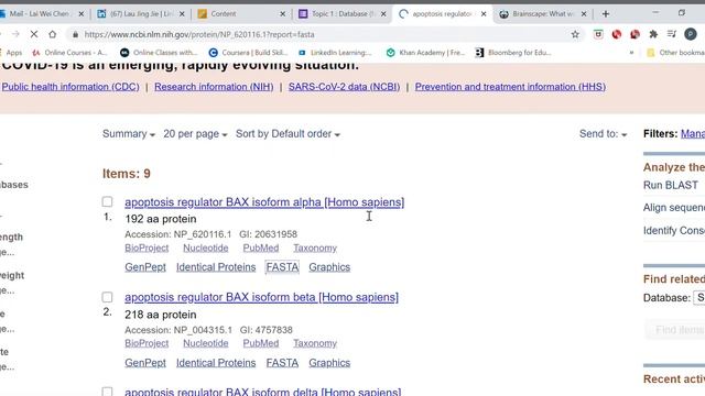 NCBI Retrieving the protein sequence of human BAX apoptosis regulator isoform alpha смотреть онлайн