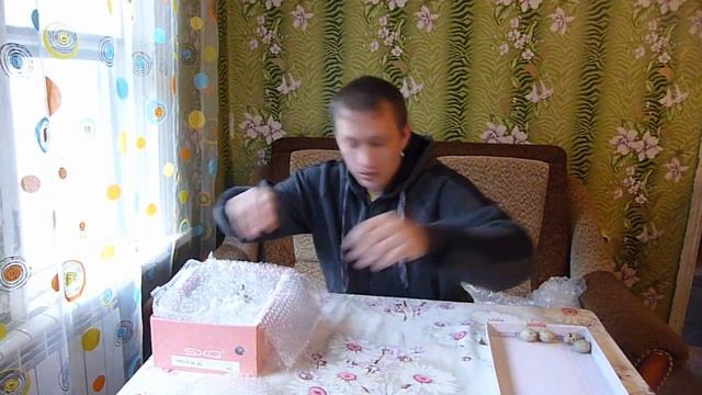 Инкубационное яйцо почтой / Упаковка для яиц // Яйца кур и перепелов для инкубатора по почте смотреть онлайн