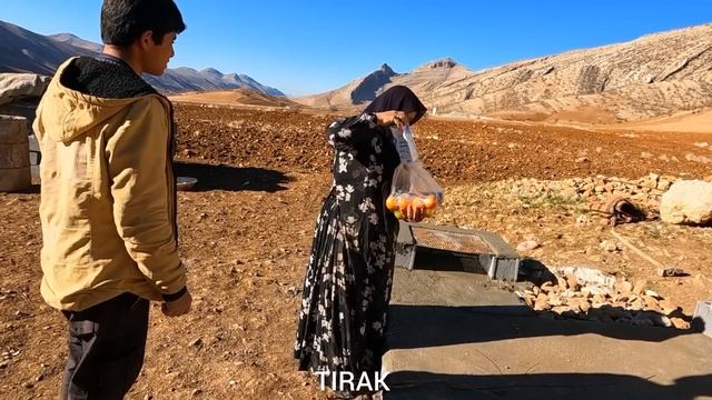 Nomadic Family's Eco-Journey: Planting Trees & Building Fireplaces For Outdoor Cooking