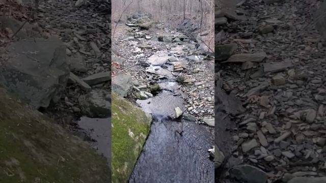 Каменистый ручей | Rocky stream #nature #river #relaxing #water #вода #природа #ручей #релакс смотреть онлайн