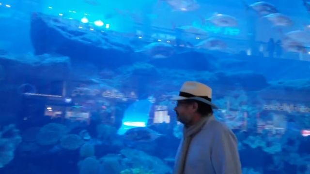 Дубай Молл смотреть онлайн