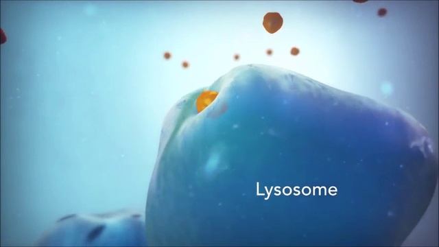 Overview Of The Structure Of Cell (Sindhi Lecture) смотреть онлайн