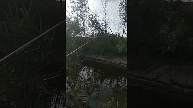 Рыбалка с дедушкой😳Продолжение сколько рыбы наловили чуть попозже выложу💕 смотреть онлайн