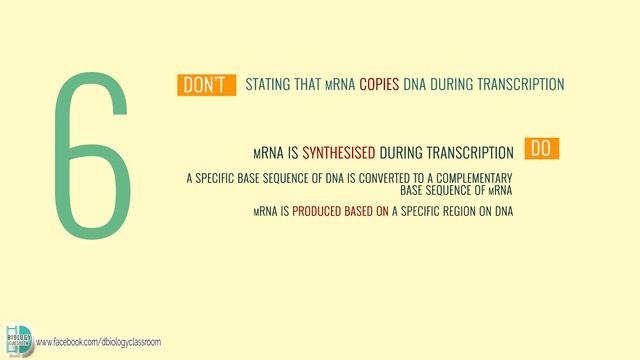 A-Level Biology - 10 common mistakes in AS Biology [Part 3] смотреть онлайн