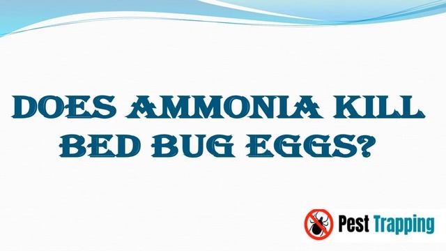 Does Ammonia kill Bed Bugs ? Is Using Ammonia Dangerous ? смотреть онлайн