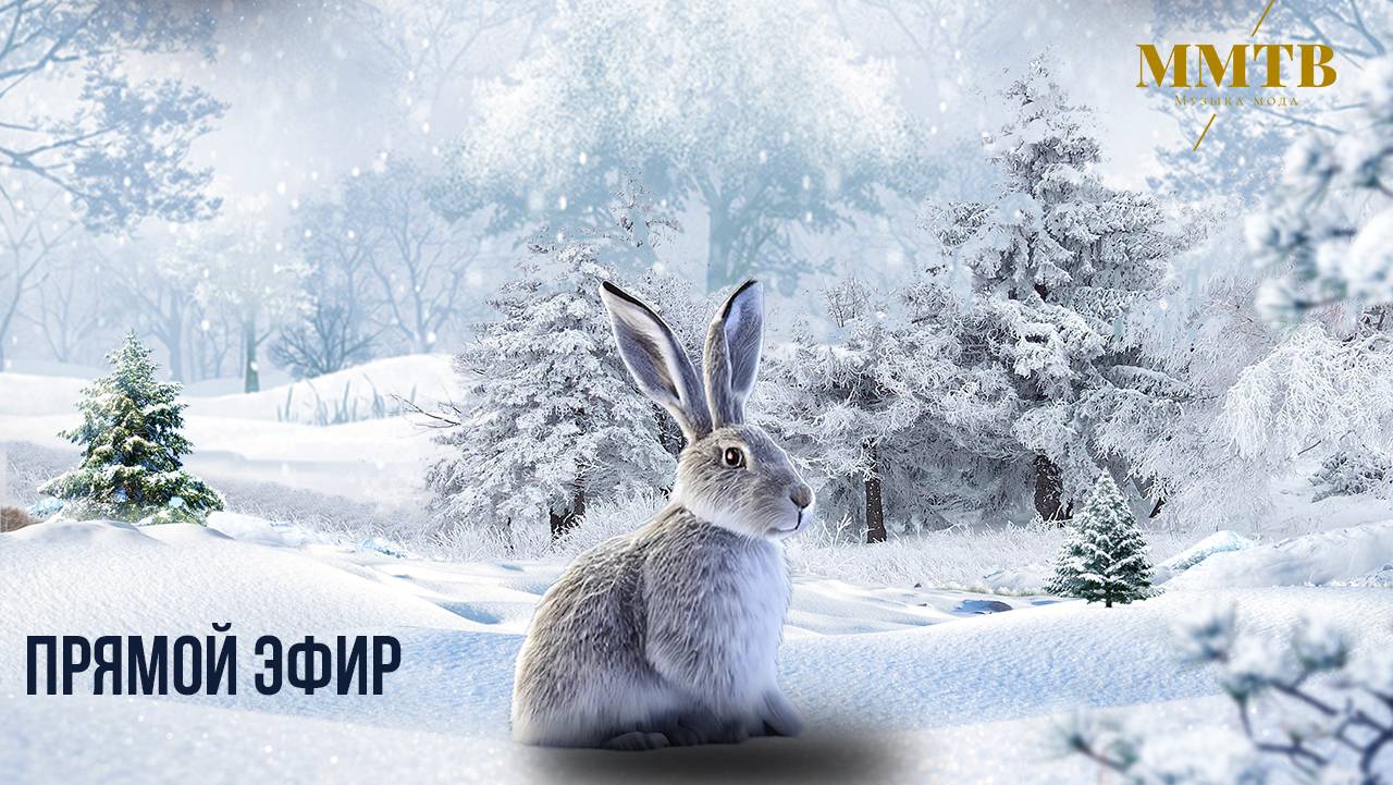 Прямой эфир Музыка Мода ТВ смотреть онлайн