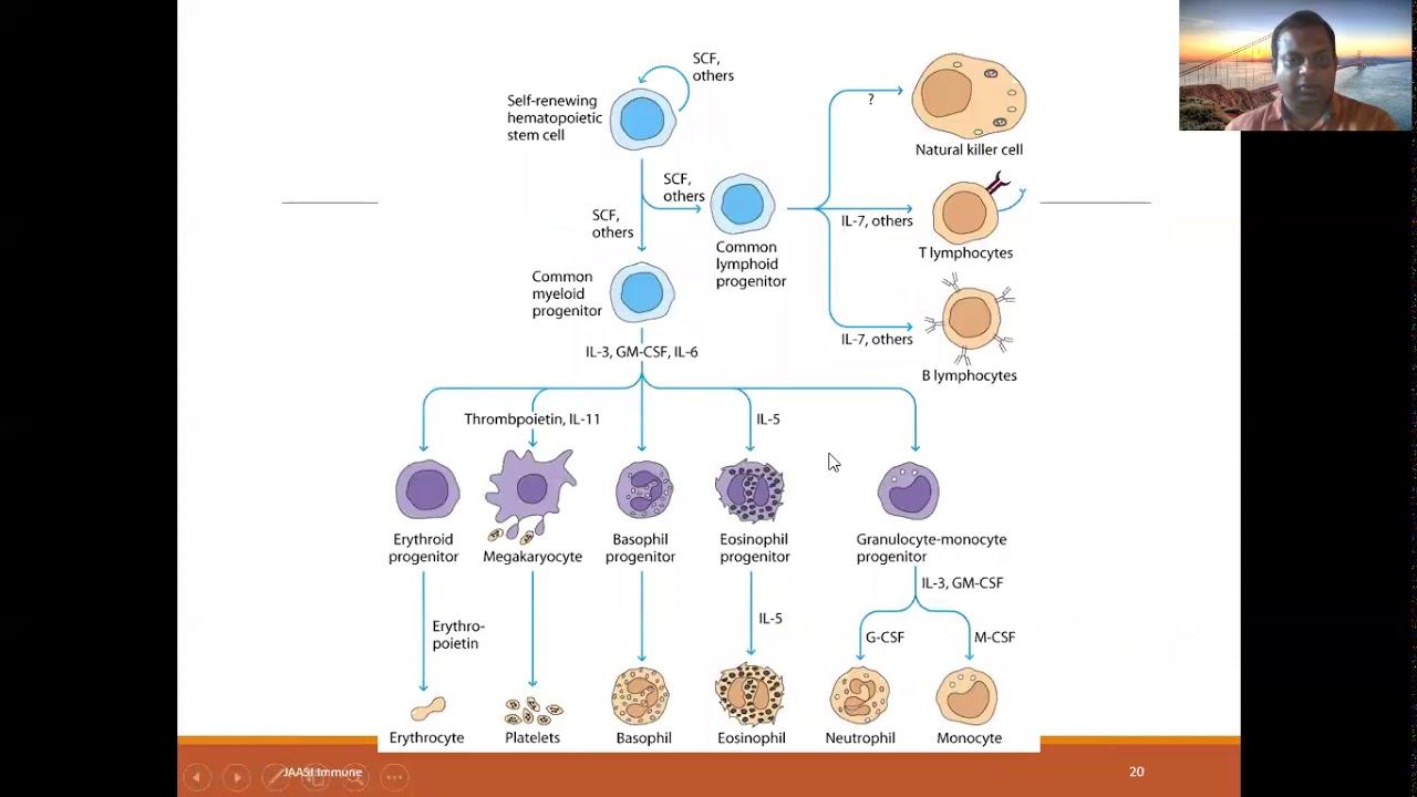 Cytokines смотреть онлайн