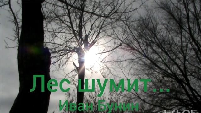 Иван Бунин. Лес шумит... смотреть онлайн