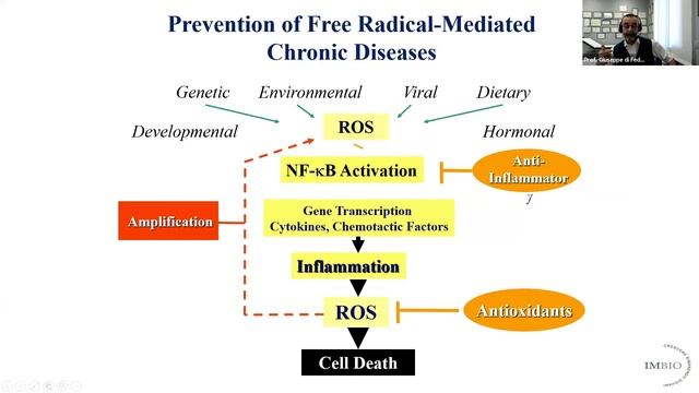 3_Prof. Giuseppe di Fede_5 lezione Corsa avanzato di fitoterapia e nutraceutica смотреть онлайн