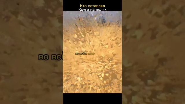 Загадочные круги на полях #нло #познавательное #тайна смотреть онлайн