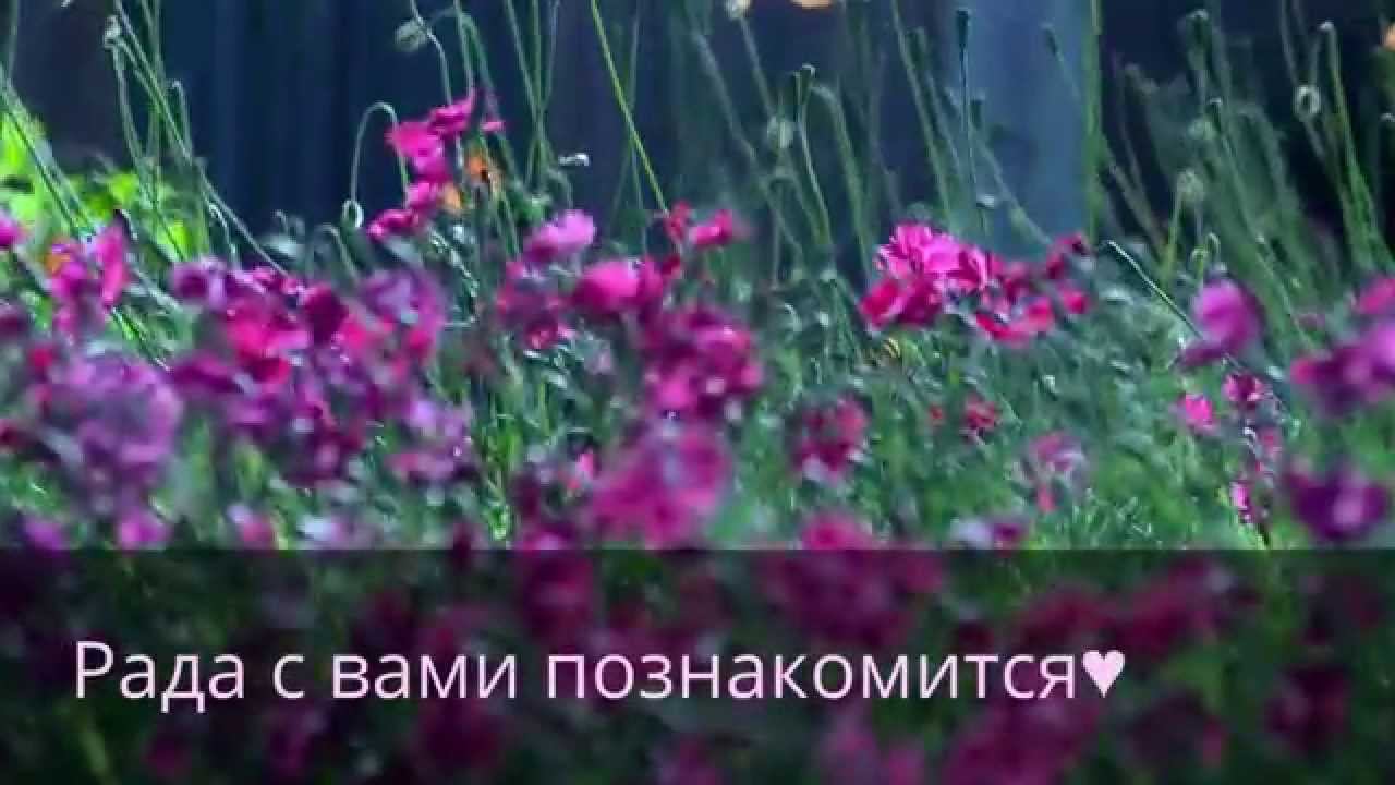 Добро пожаловать на канал ♥Liza Gerasimenko♥ смотреть онлайн