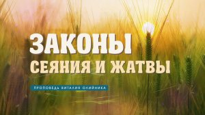 Законы сеяния и жатвы | проповедь | Виталий Олийник