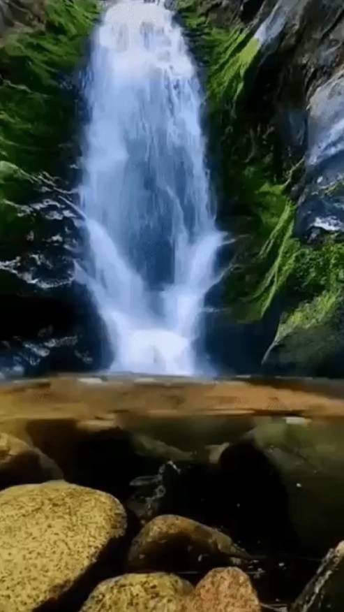 Сегодня нет... смотреть онлайн