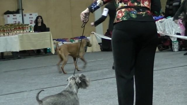 Daugavpils BEST Veterans смотреть онлайн