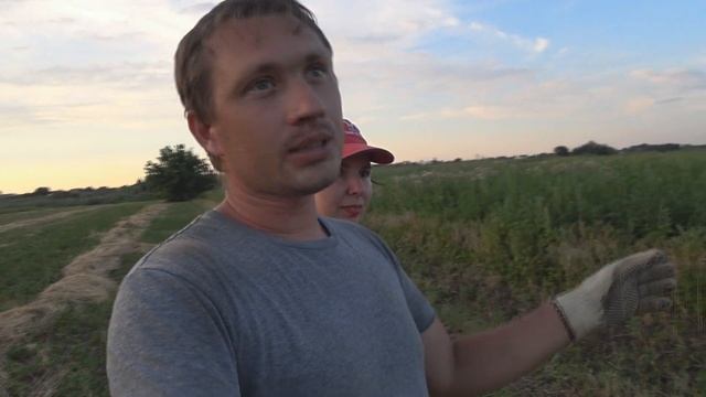 Взяли земельный участок / Сельское хозяйство с нуля // Жизнь в деревне смотреть онлайн