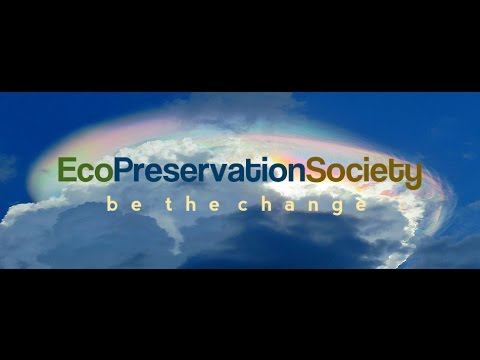 Organizing A Global Grassroots Environmental Movement