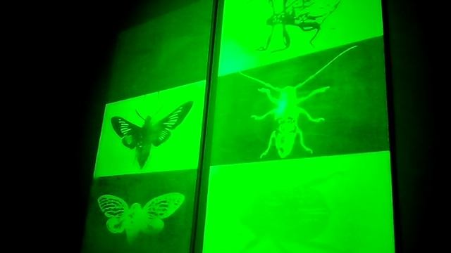 3D картинка смотреть онлайн