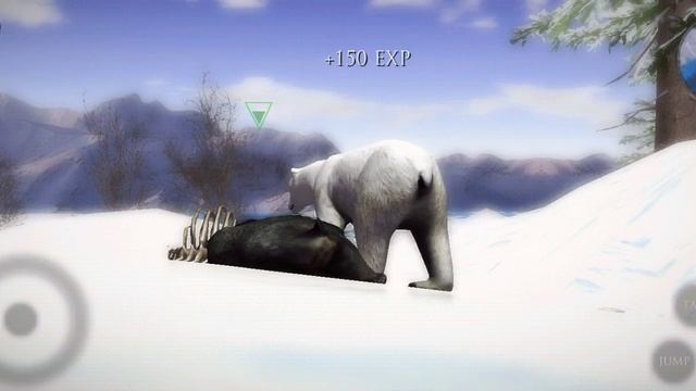 Polar Bear vs Wolf,Moose,Boar,Strock,Snake,Fish,Ultimate Polar Bear Simulator 2 смотреть онлайн