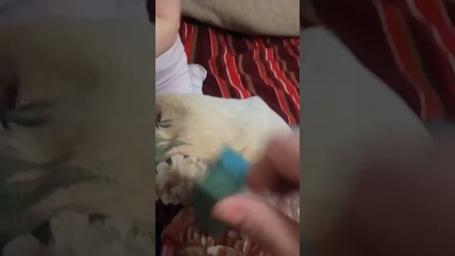 VID 20180129 171510 смотреть онлайн
