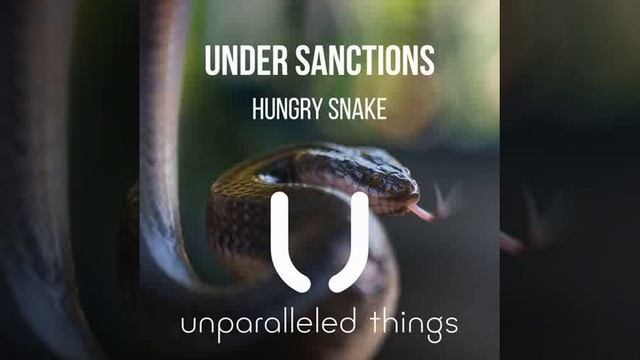 Under Sanctions - Hungry Snake / Radio Edit [Unparalleled Things]