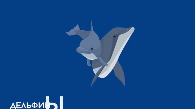 Презентационный ролик для "Москвариума". смотреть онлайн