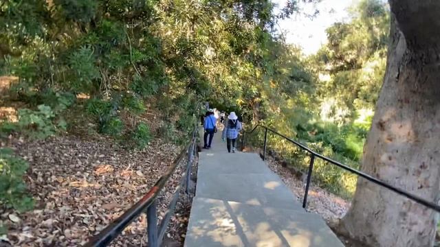 V 9 ទៅលេងនៅកន្លែង Los Angeles County Arboretum and Botanic смотреть онлайн