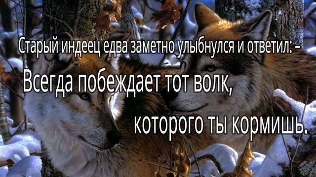 #ПРИТЧИ #МОРАЛЬ 2 ПРИТЧИ О ЖИЗНИ С МОРАЛЬЮ МУЗЫКА - ЭДГАР ТУНИЯНЦ смотреть онлайн