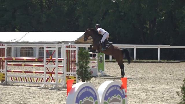 Vestale de Mazure - Vainqueur CIR 6 ans Le Lion d'Angers смотреть онлайн