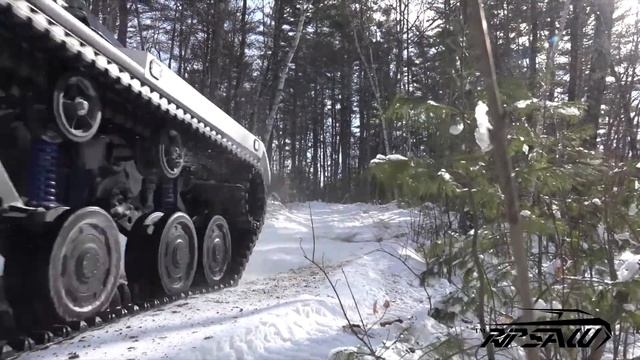 SteelBear  Cosmic  Expedition