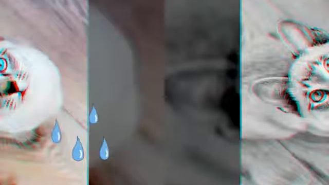 Кошки и вода смотреть онлайн